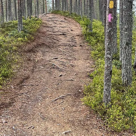 Porotupa Syöte